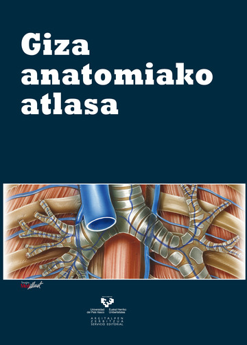 Giza anatomiako atlasa
