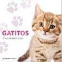 Gatitos Calendario 2010