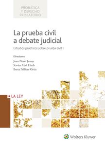 La prueba civil a debate judicial. Estudios prcticos sobre prueba civil I