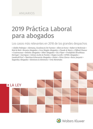 2019 Prctica Laboral para abogados